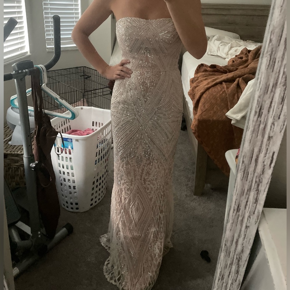 Dress the Population Sequin Gown